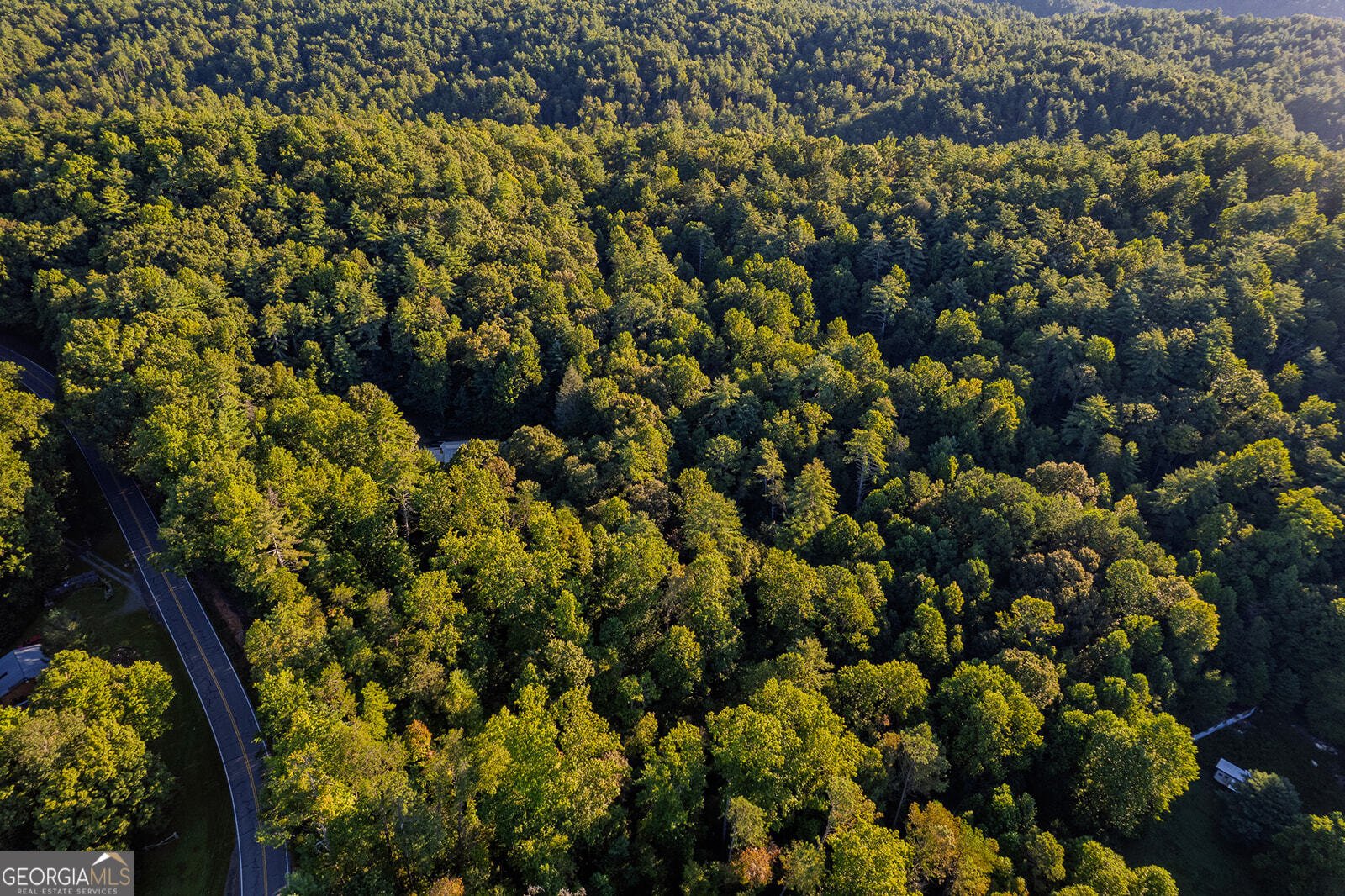 10950 Chatsworth Highway Ellijay - 57