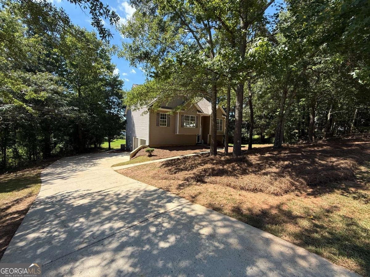 25 Birch Ridge Court Newnan - 2