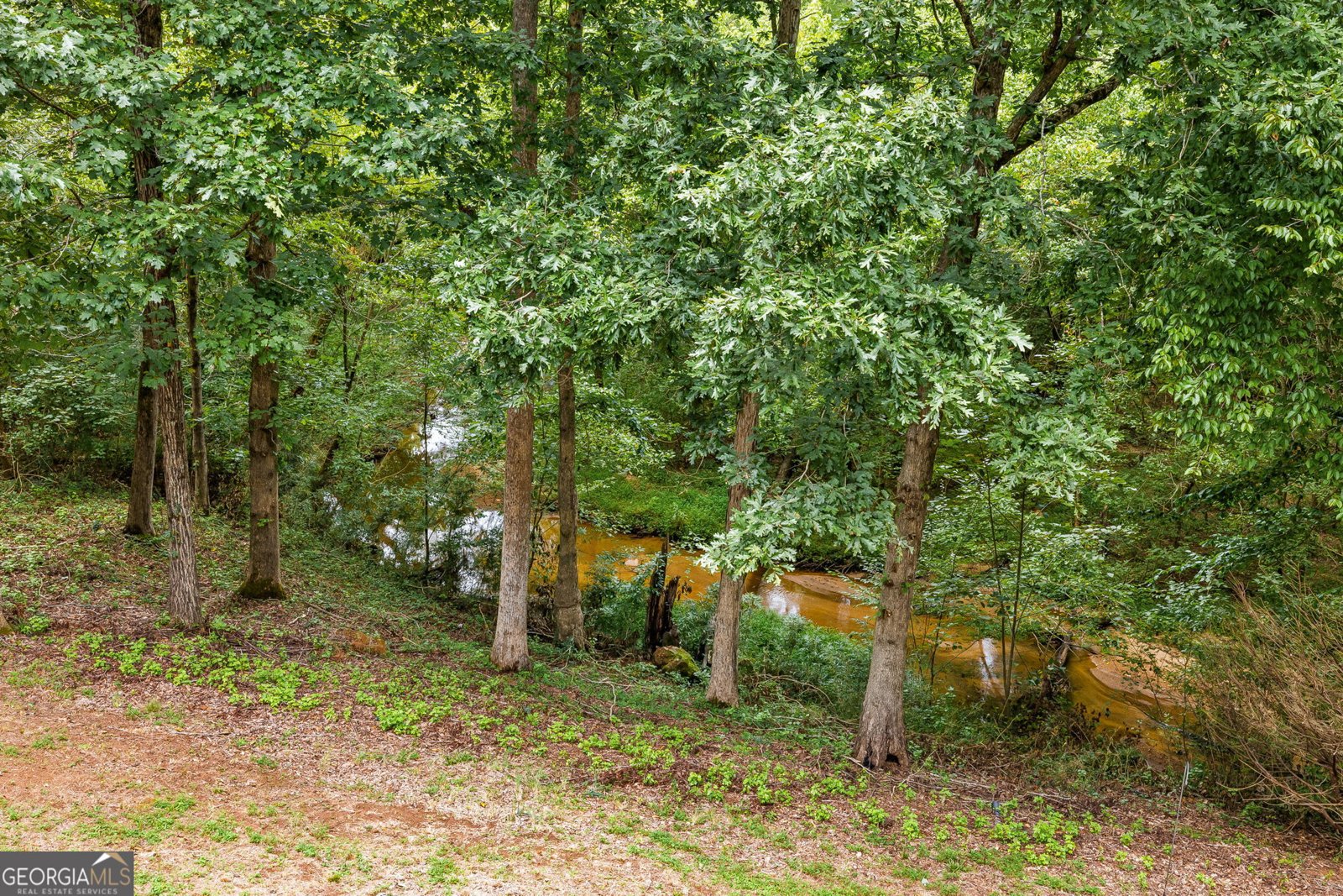 221 Allmond Lane Alpharetta - 37