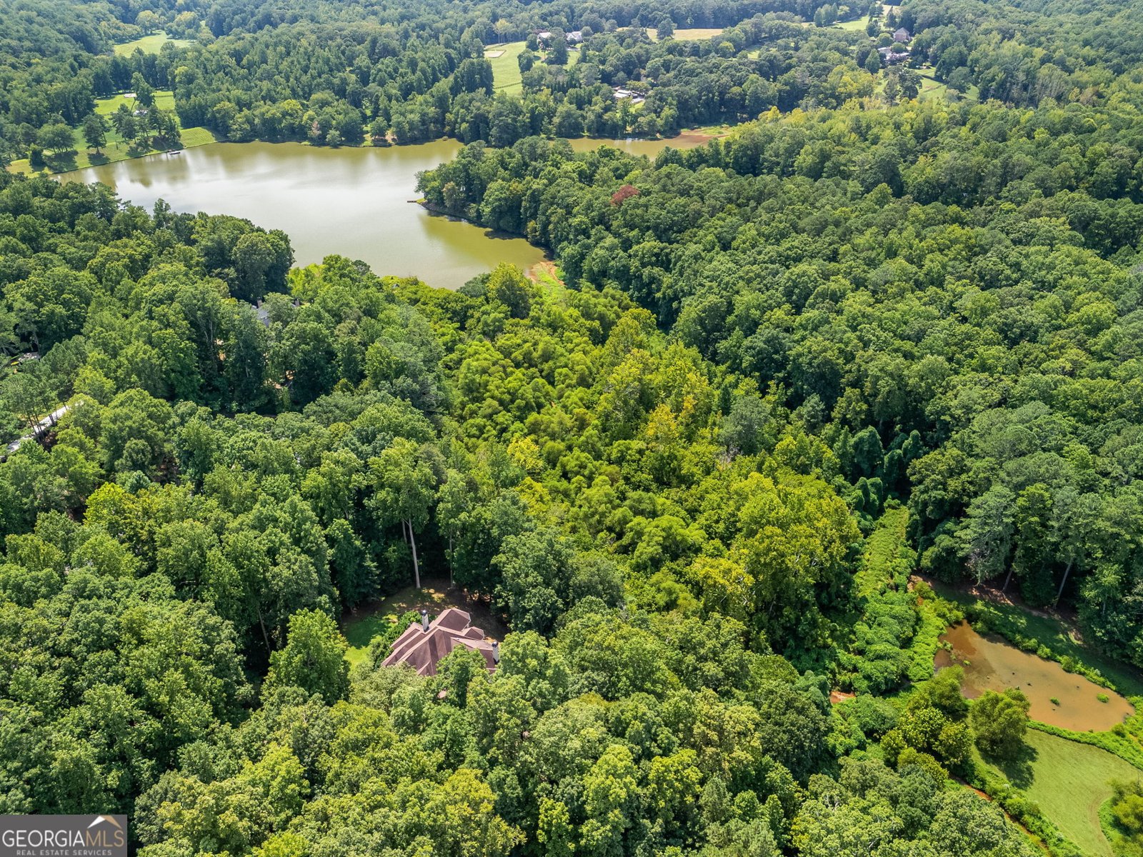 221 Allmond Lane Alpharetta - 5