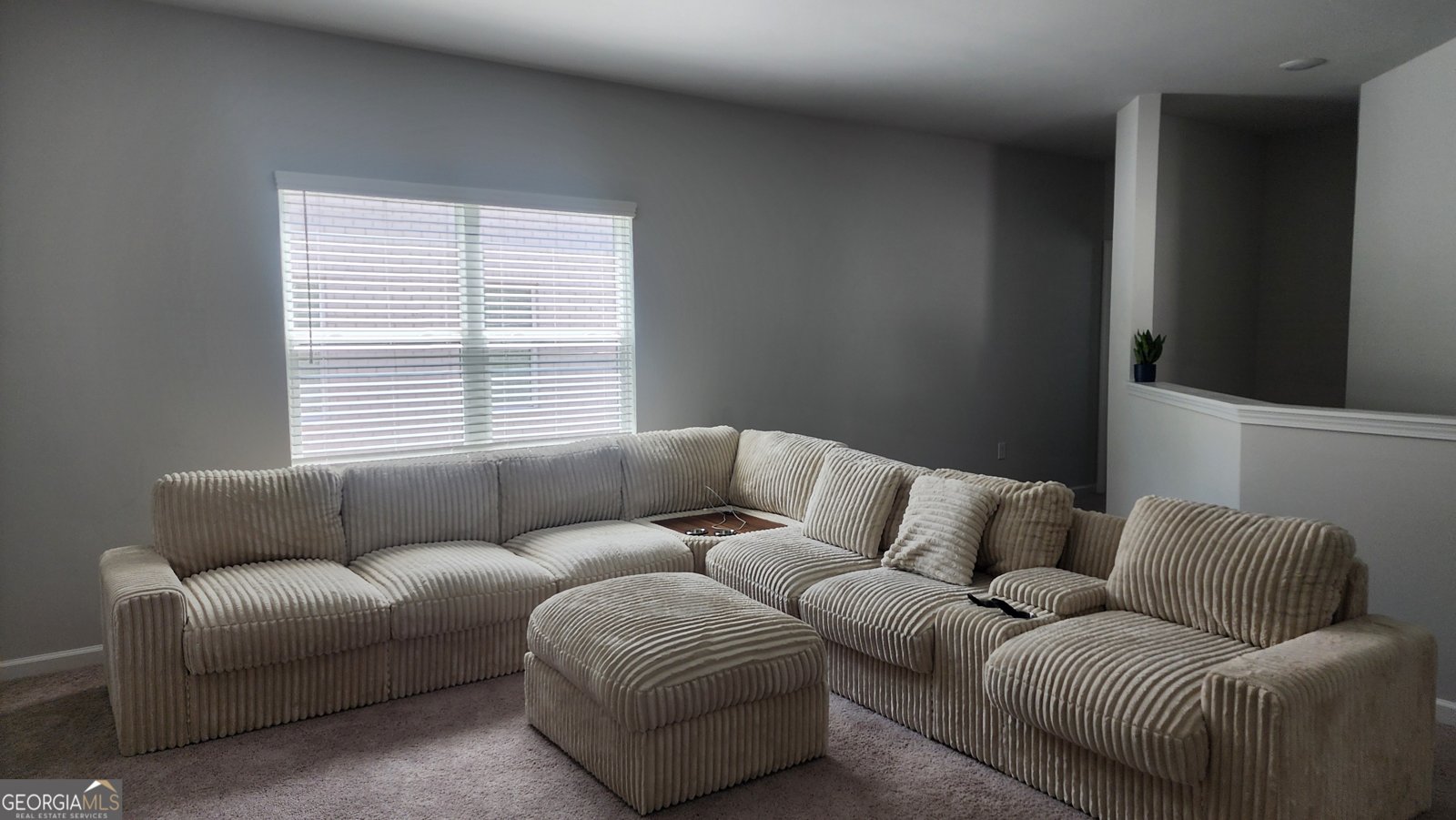 14 Green Love Lane Grayson - 20