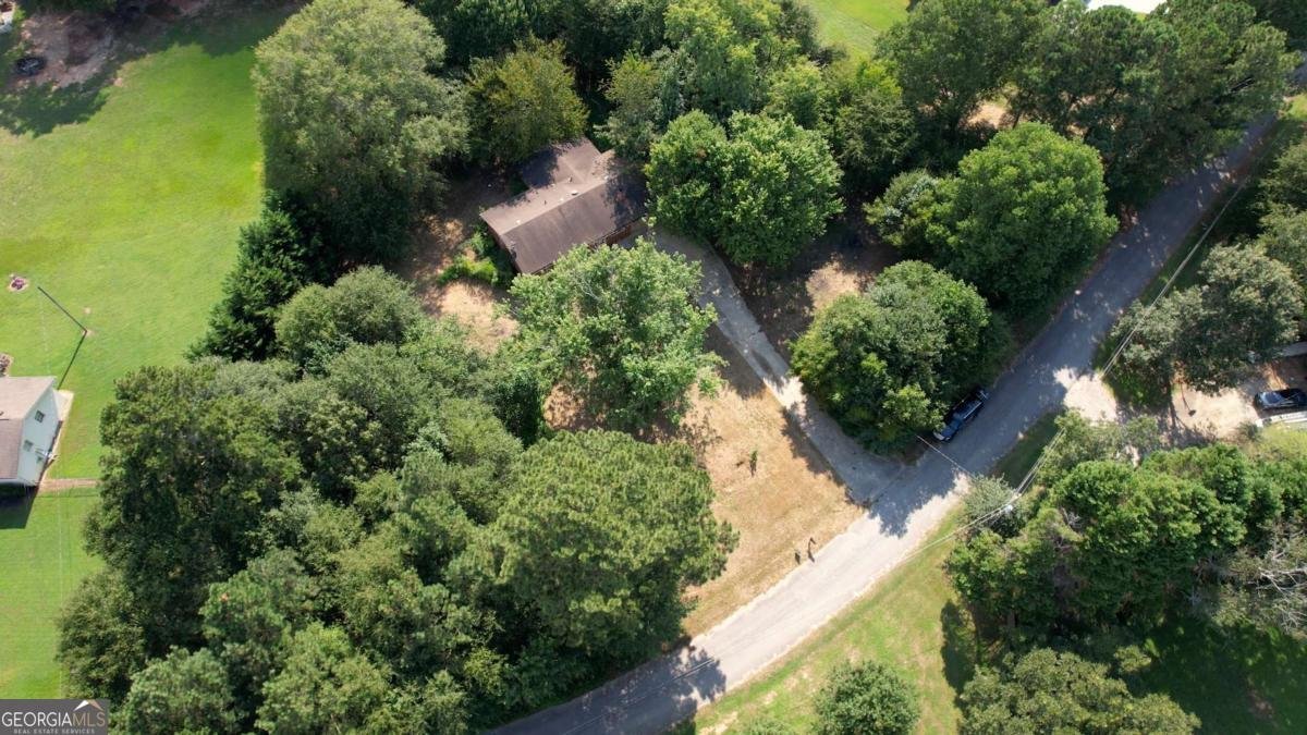 4062 Donna Lane Loganville - 47