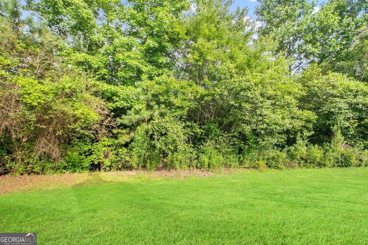 273 Baywood Crossing Hiram - 44