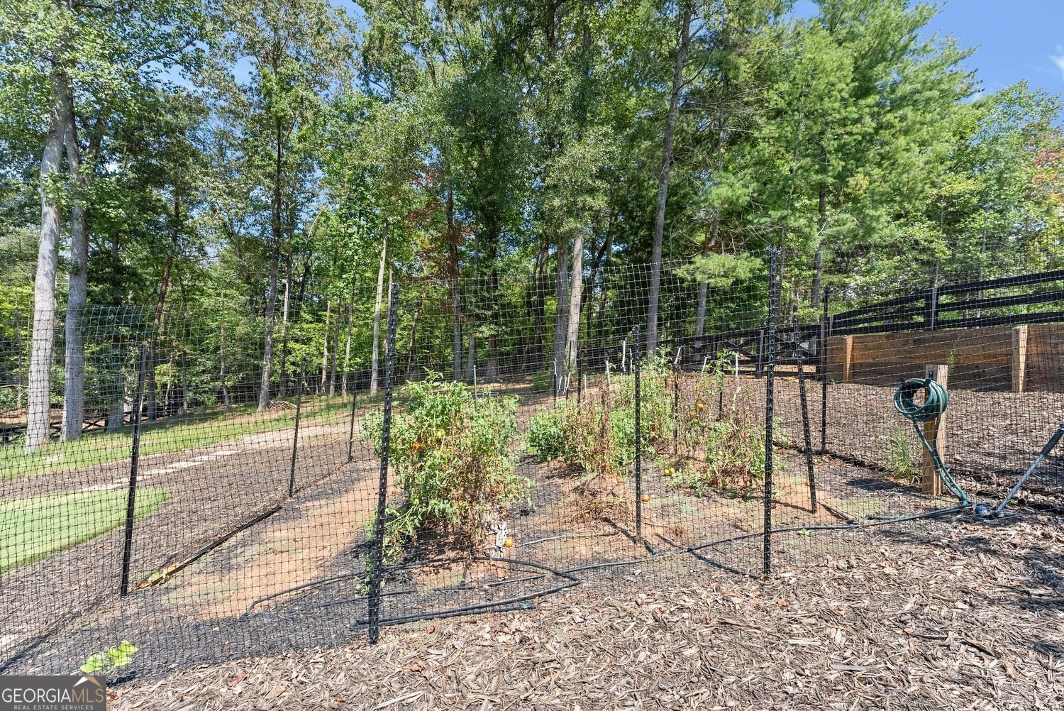 3420 Dockside Shores Drive Gainesville - 52