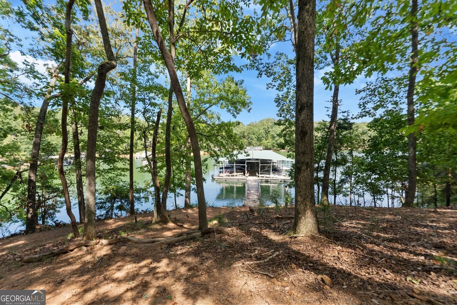 3420 Dockside Shores Drive Gainesville - 54