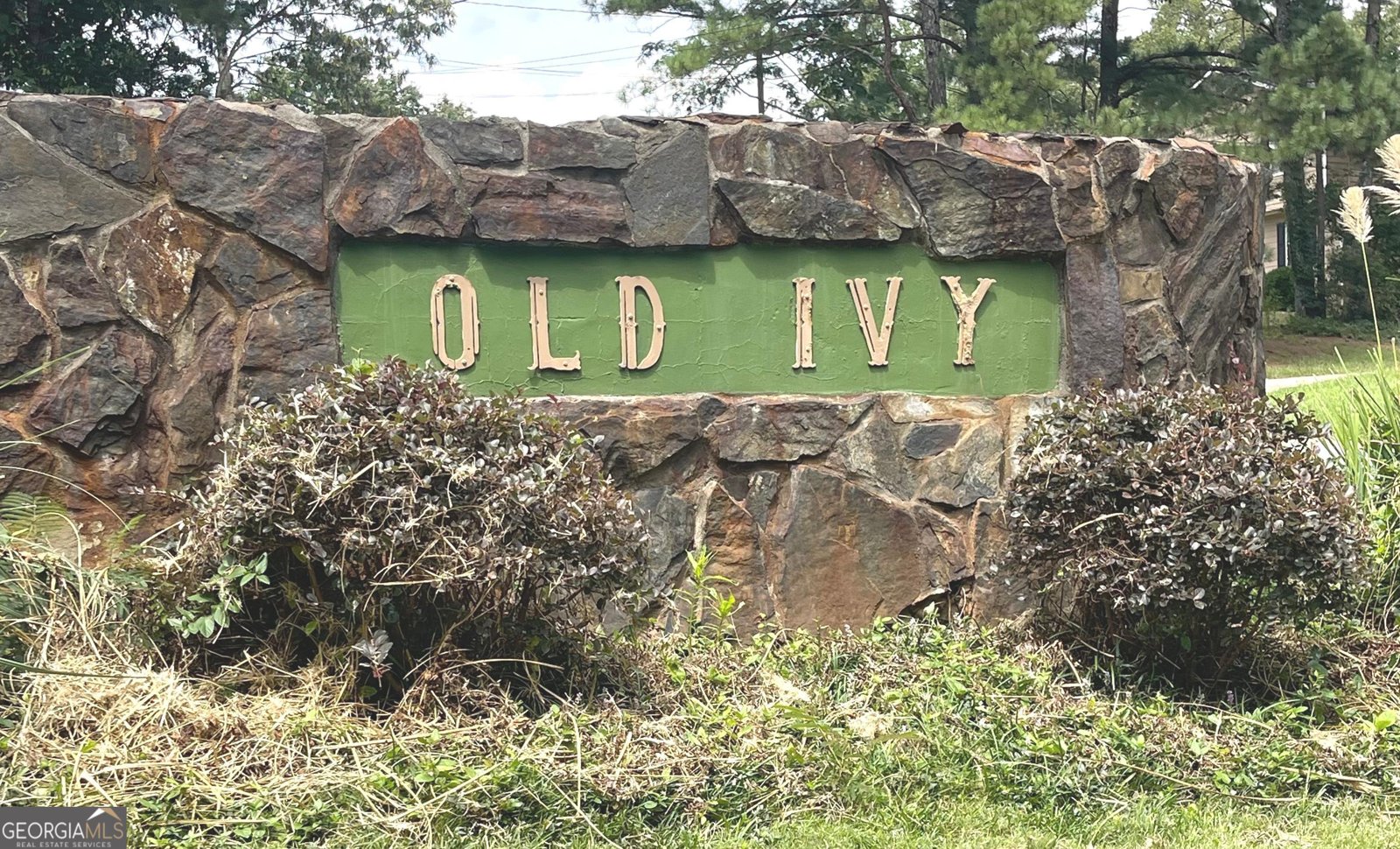2770 Old Ivy Court Buford - 5