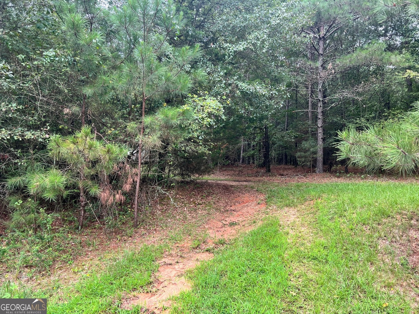 1383 Sims Road Winder - 2