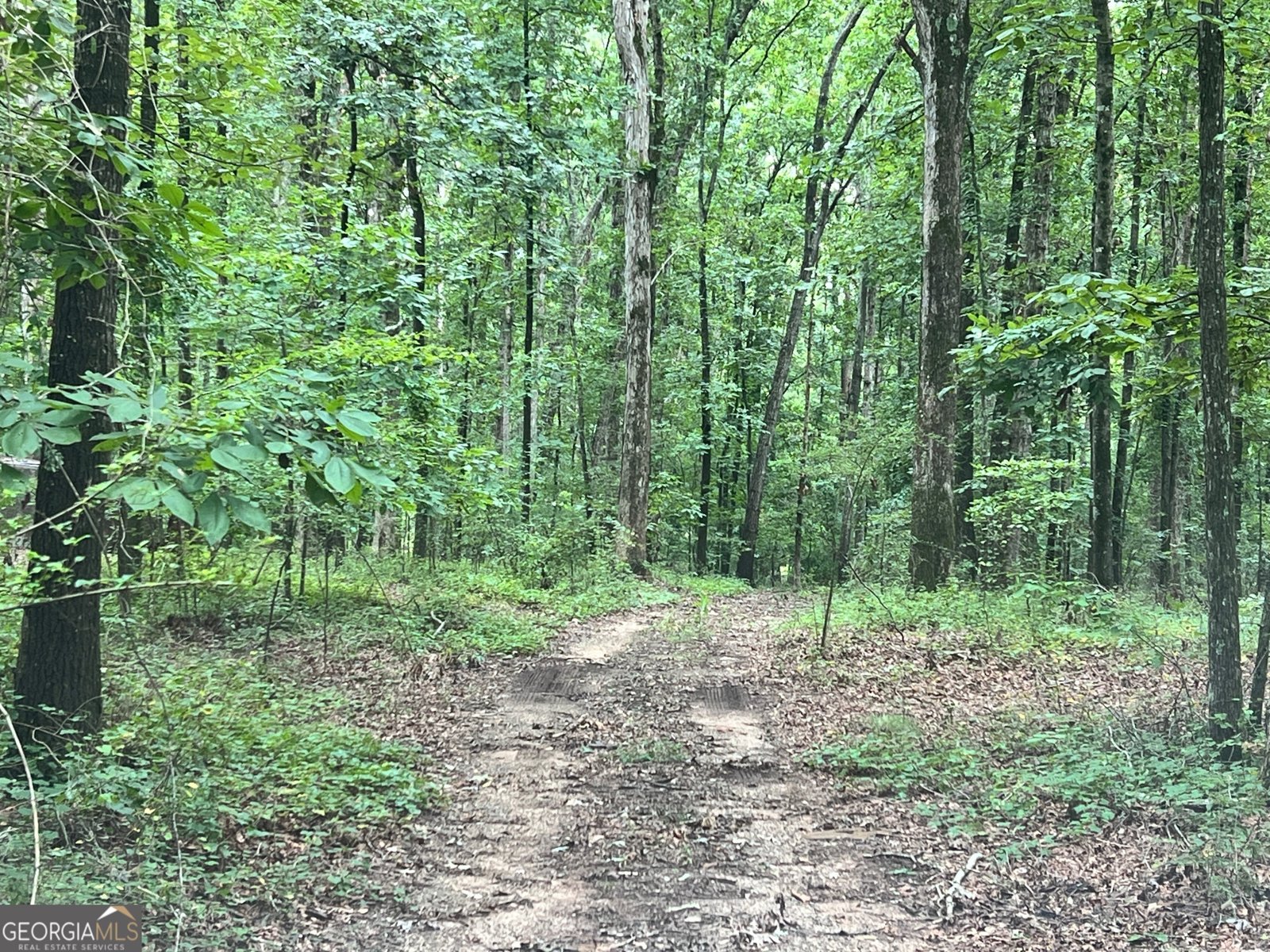 1383 Sims Road Winder - 3