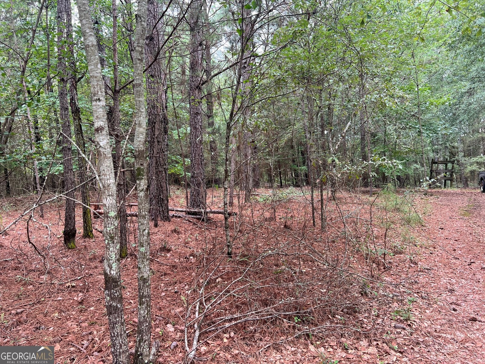 1383 Sims Road Winder - 5