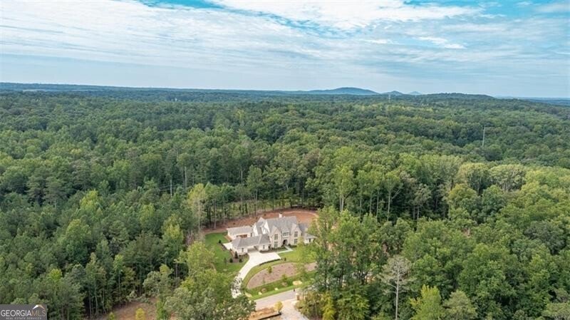 125 Laurel Brook Lane Canton - 4