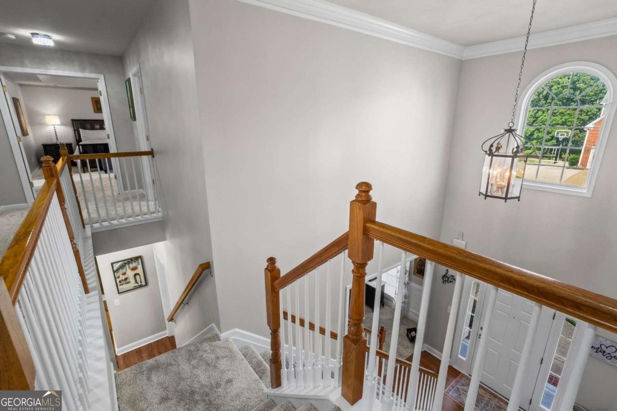 220 Forest Creek Lane Canton - 9
