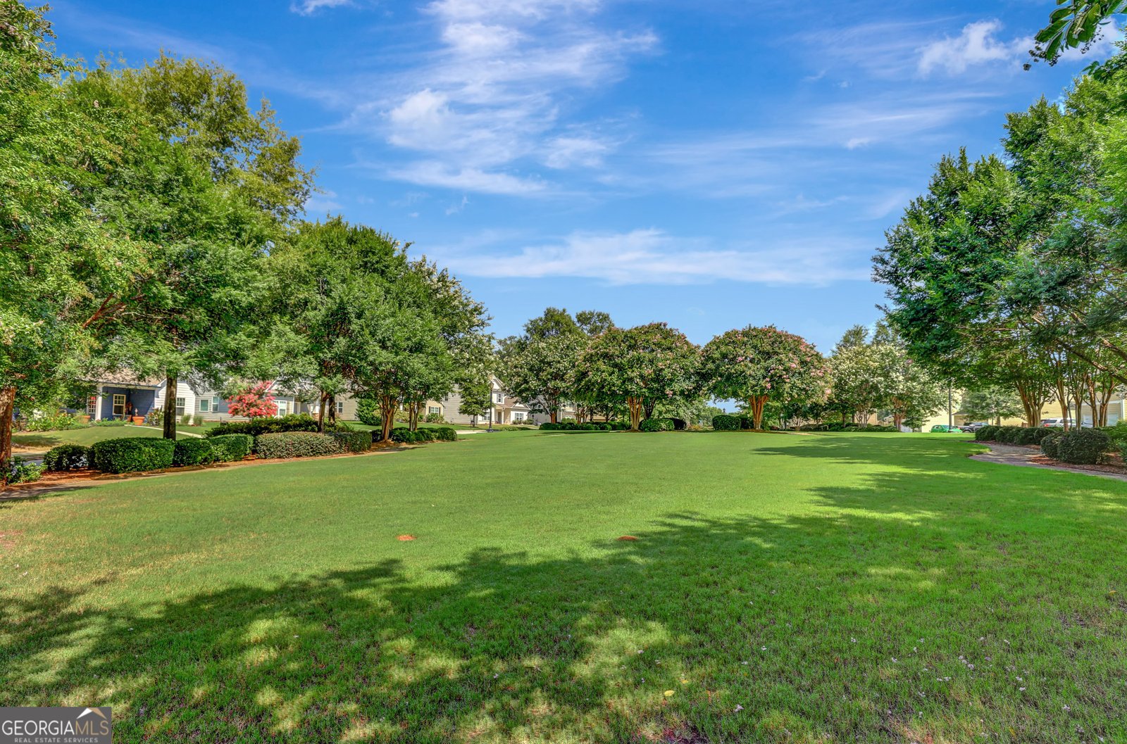 163 Macalester Drive Newnan - 19