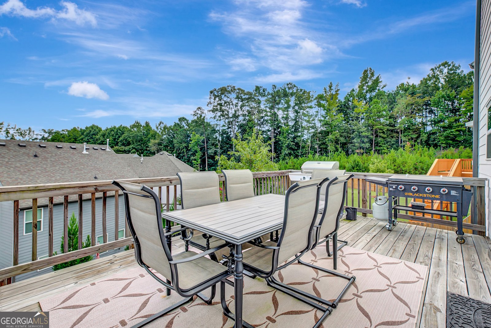 163 Macalester Drive Newnan - 28
