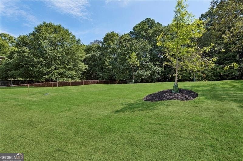 2467 Reed Street Smyrna - 32