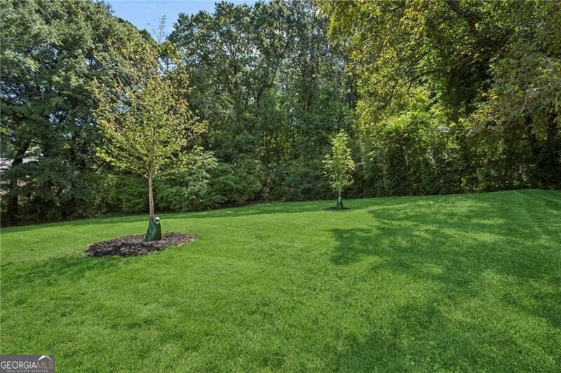 2471 Reed Street Smyrna - 38