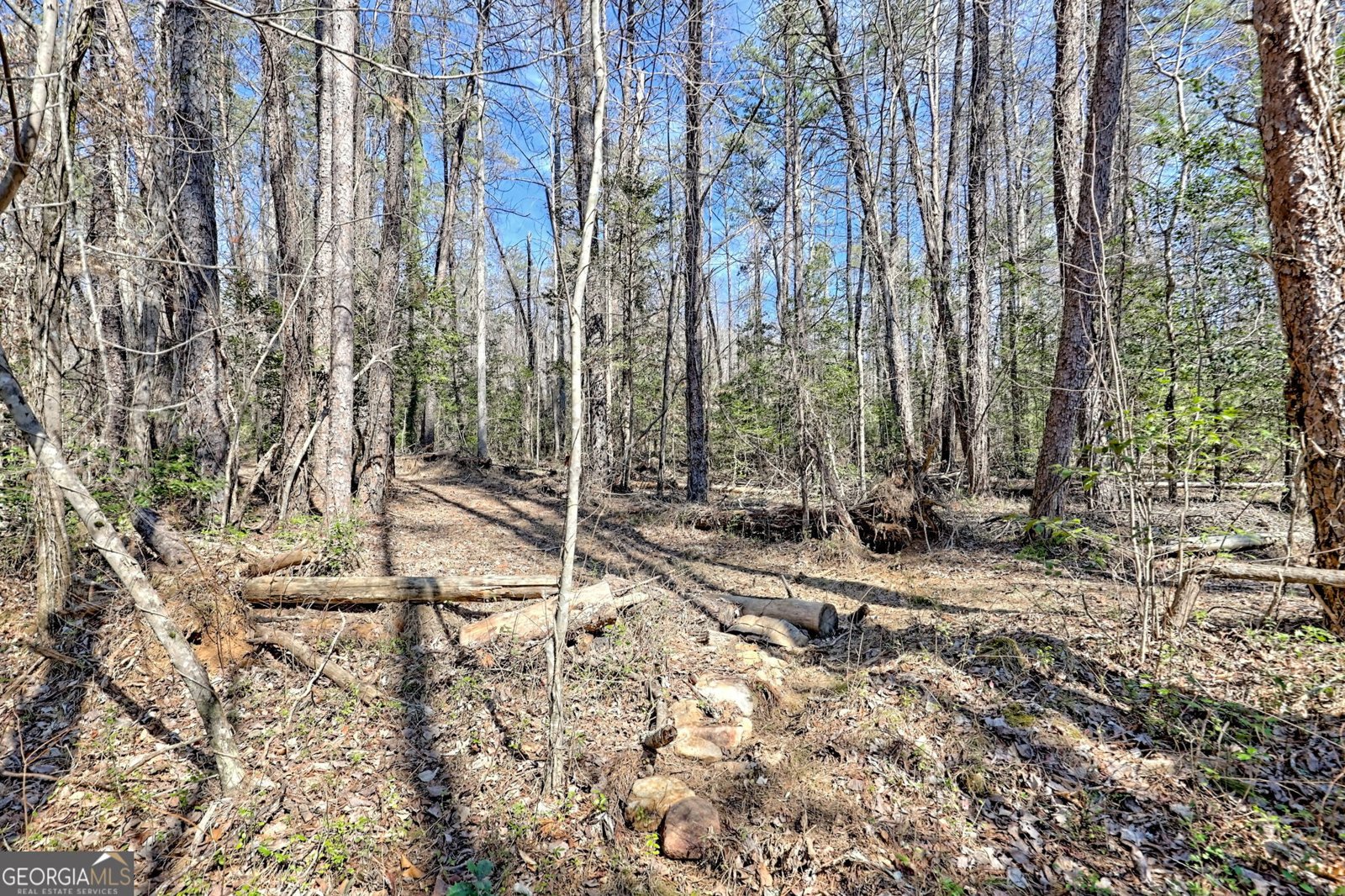 4960 Laurel Lodge Road Clarkesville - 36