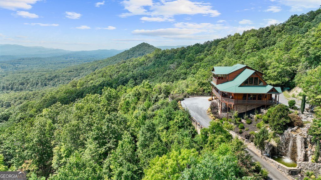279 Rising Star Lane Mineral Bluff - 4