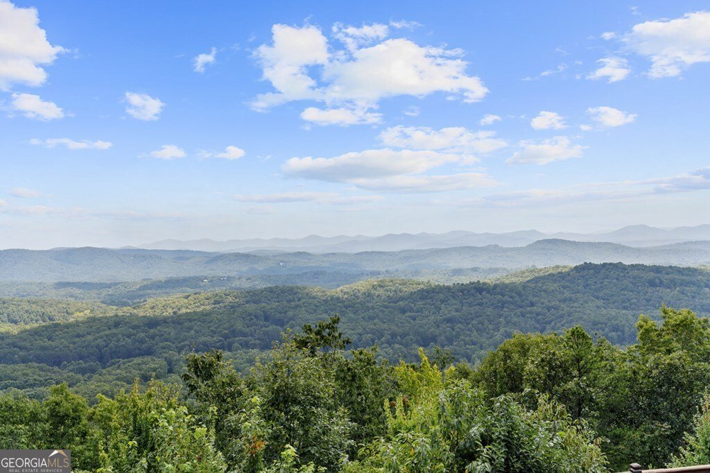 279 Rising Star Lane Mineral Bluff - 6