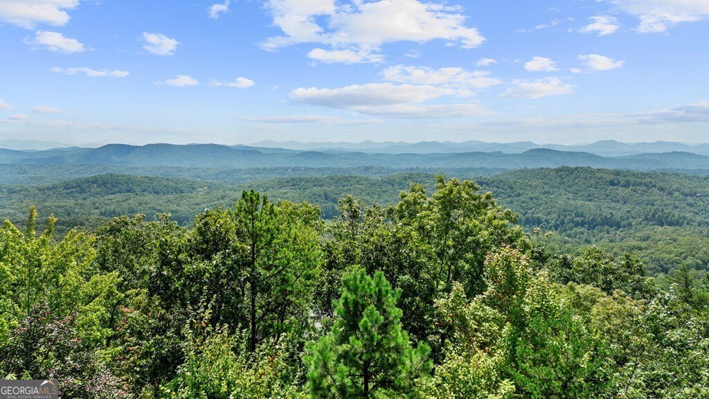 279 Rising Star Lane Mineral Bluff - 8