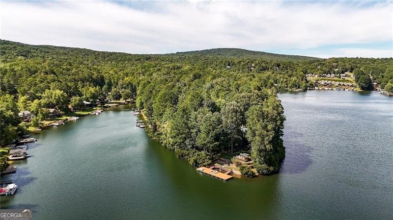 161 BROADWATER Court Waleska - 1