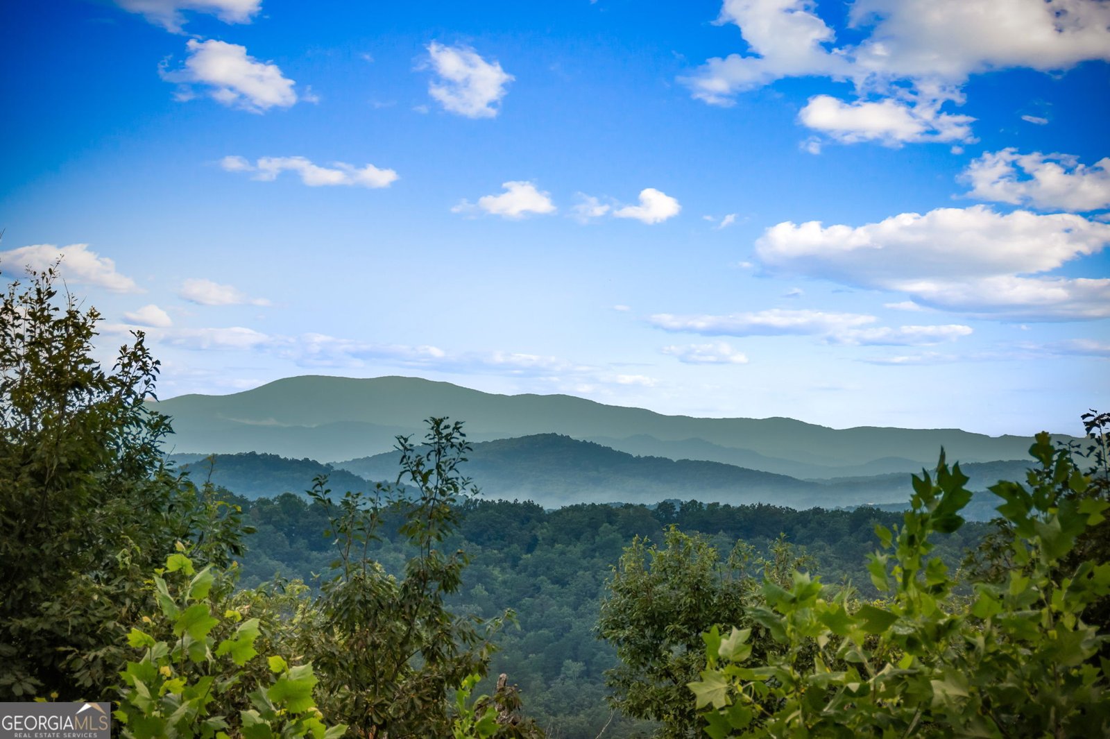 886 Weaver Creek Way Blue Ridge - 75