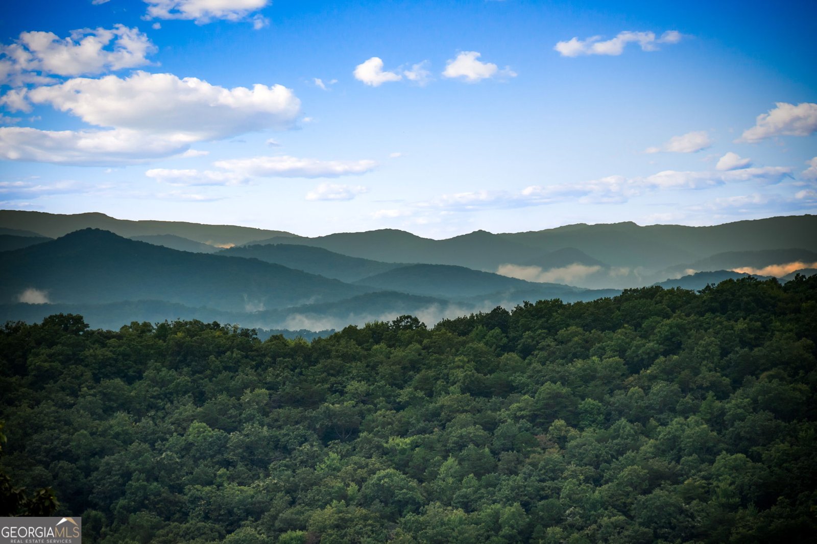886 Weaver Creek Way Blue Ridge - 77