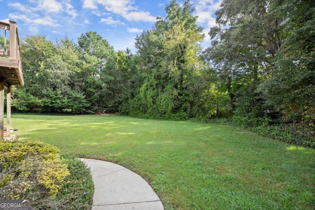 2524 Dunhaven Glen Snellville - 56