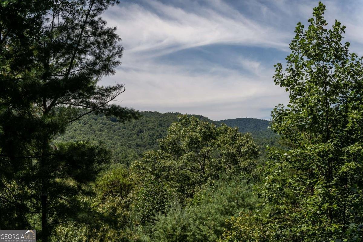 114 Boone Court Ellijay - 11