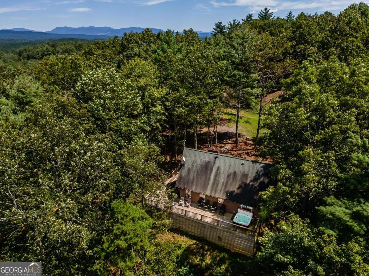 114 Boone Court Ellijay - 28