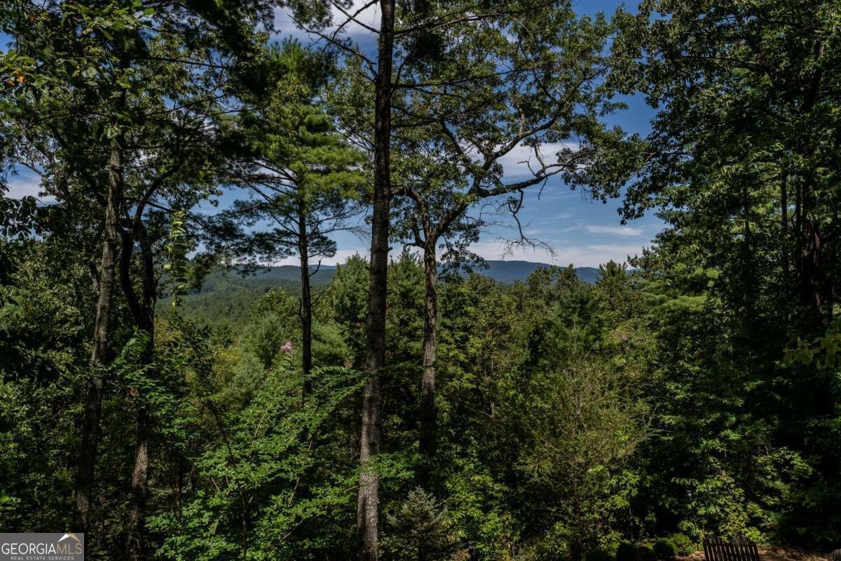 114 Boone Court Ellijay - 30