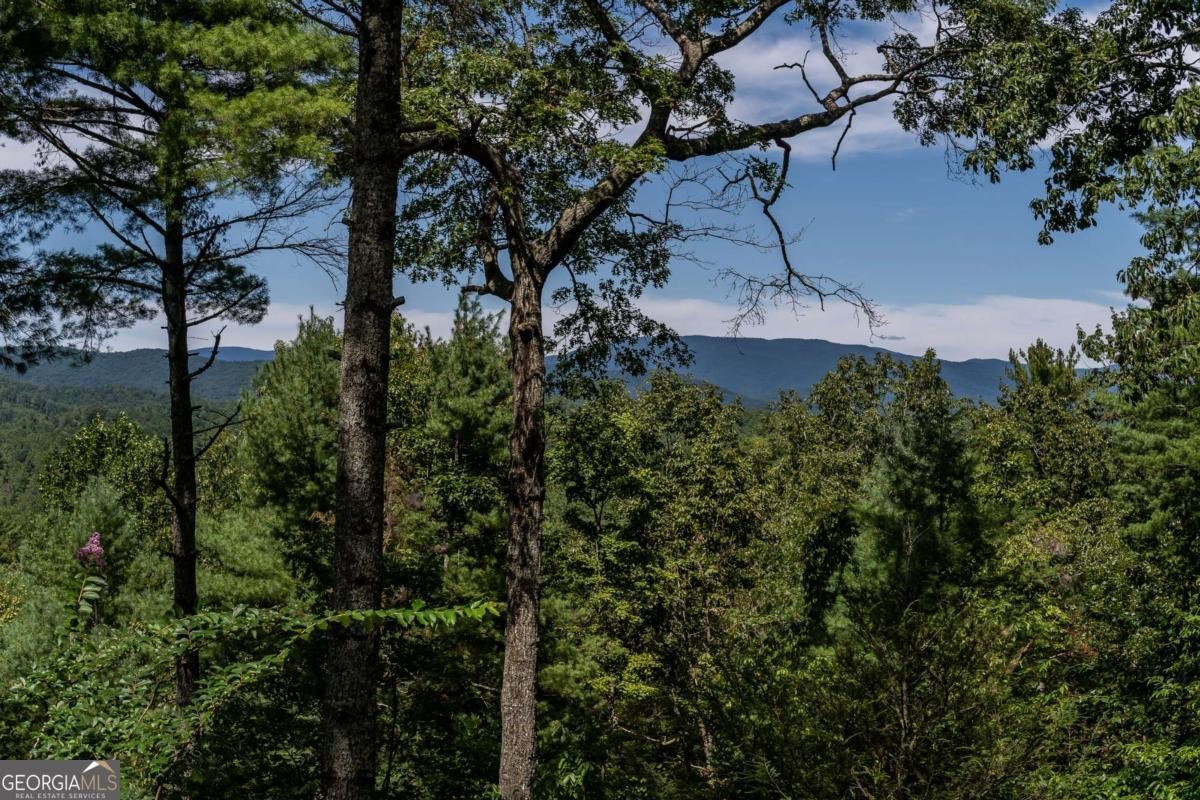 114 Boone Court Ellijay - 64