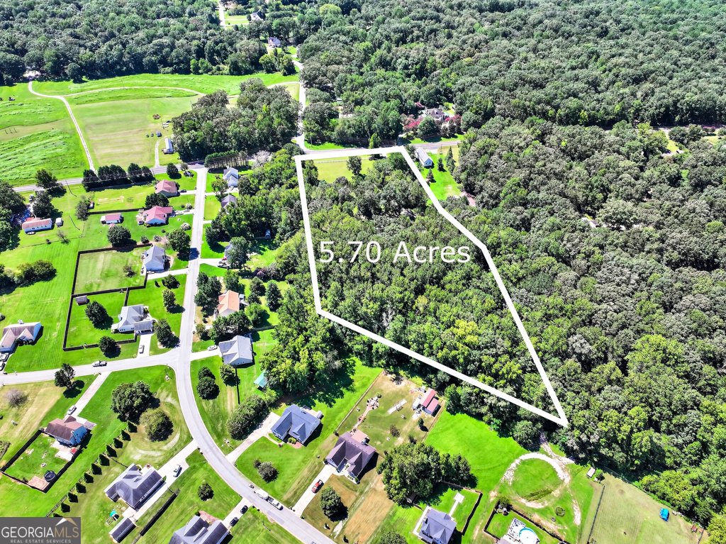 8238 Jackson Trail Road Hoschton - 29