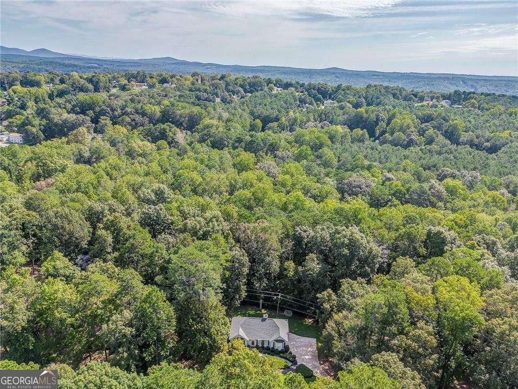1023 Laurel Lake Drive Ball Ground - 8