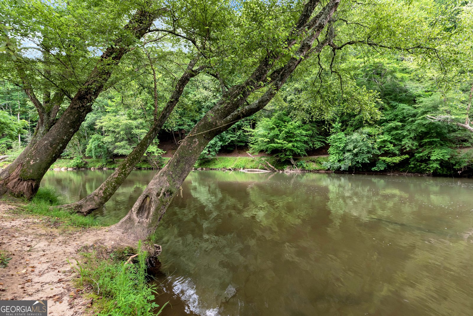 35 Fable Court Ellijay - 65