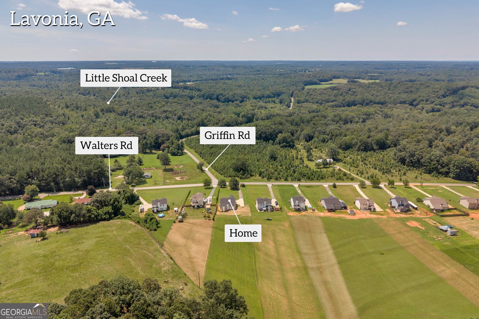 1164 Walters Road Lavonia - 16