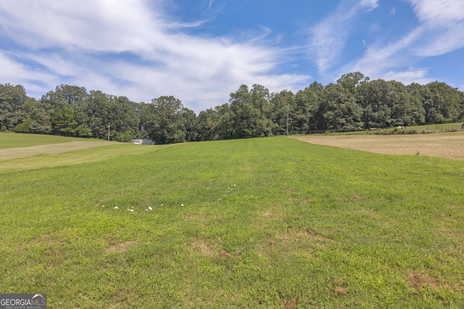 1164 Walters Road Lavonia - 8