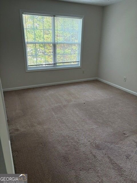 127 Riley Circle Dawsonville - 8