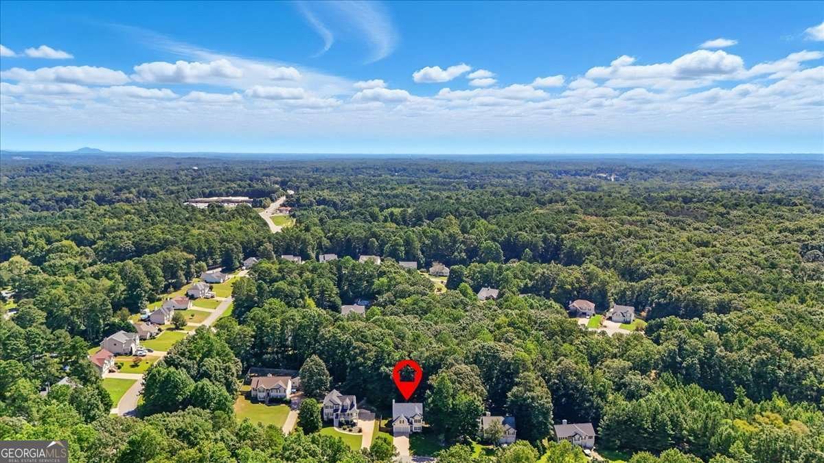 233 Molasses Lane Dallas - 36