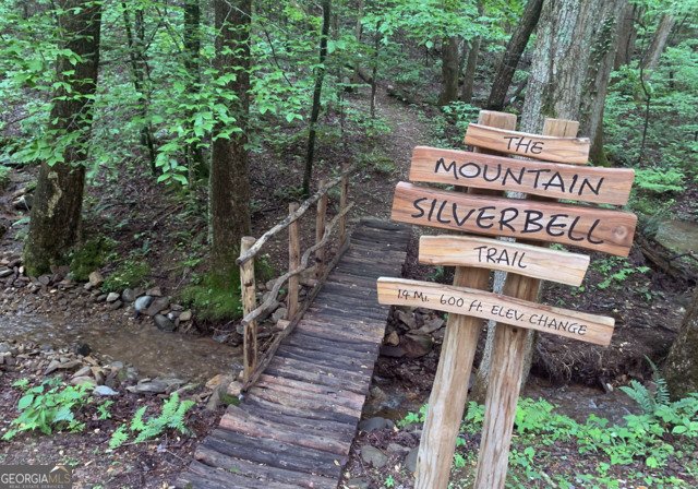 3360 Turniptown Road Ellijay - 1