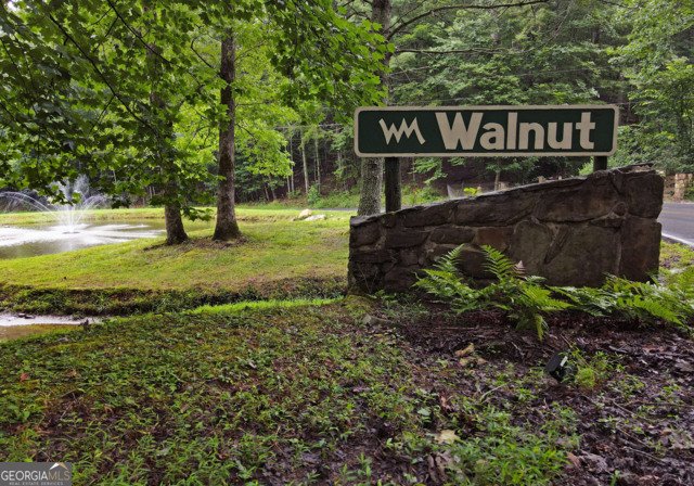 3360 Turniptown Road Ellijay - 35