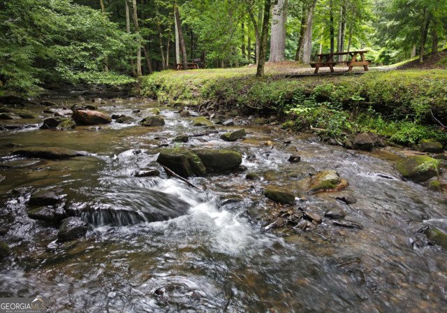 3360 Turniptown Road Ellijay - 40