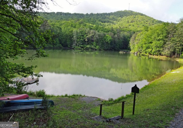 3360 Turniptown Road Ellijay - 52