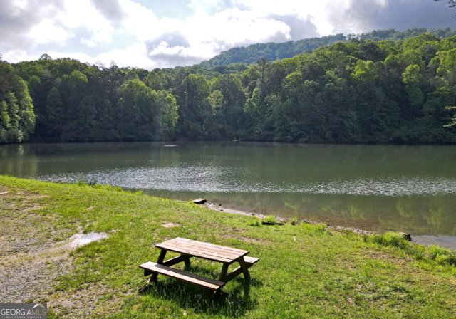 3360 Turniptown Road Ellijay - 54