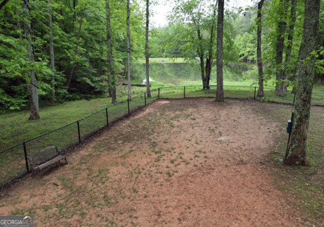 3360 Turniptown Road Ellijay - 60