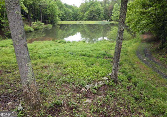 3360 Turniptown Road Ellijay - 62