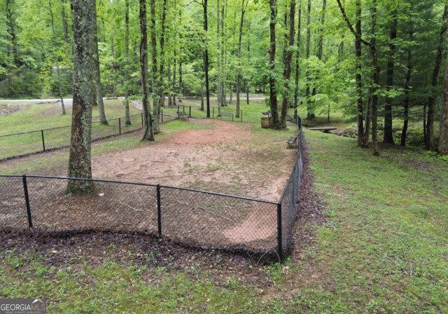 3360 Turniptown Road Ellijay - 64