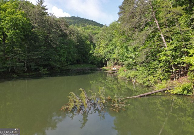 3360 Turniptown Road Ellijay - 72