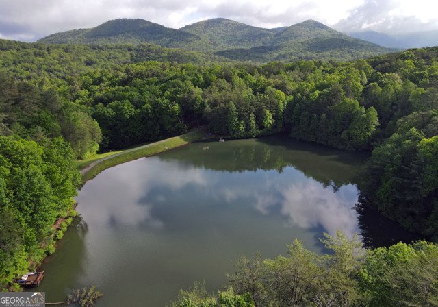 3360 Turniptown Road Ellijay - 74