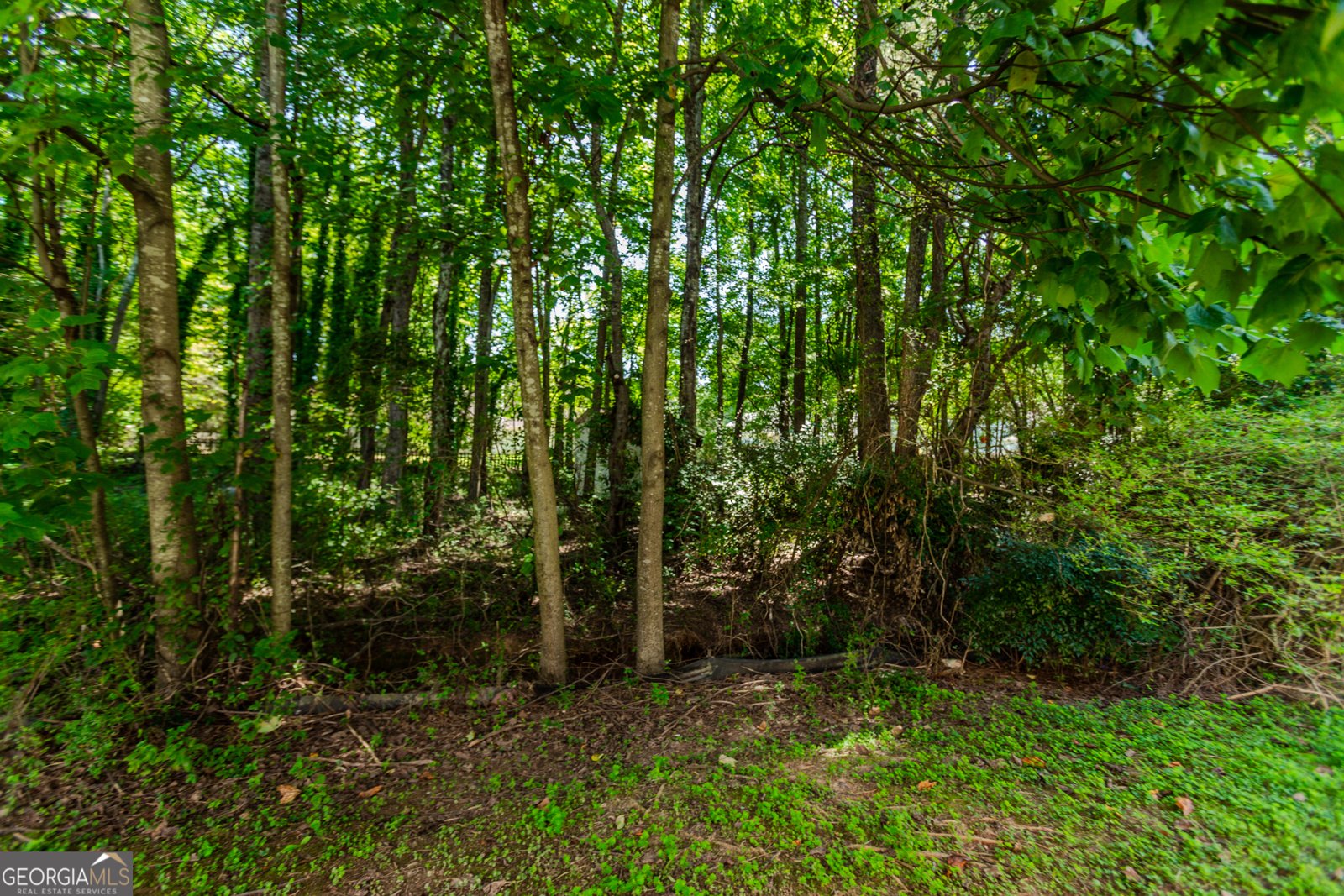 922 Lakeside Court Loganville - 26