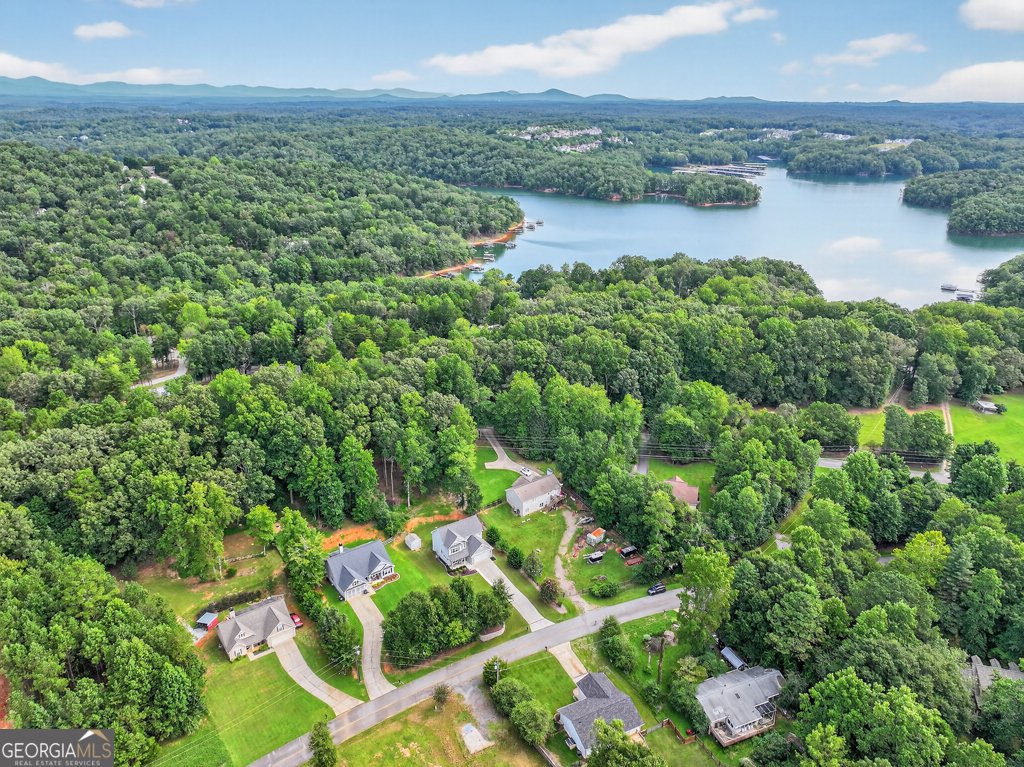 120 Mary Saphire Road Dawsonville - 47